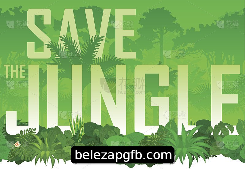Integração de APIs belezapg